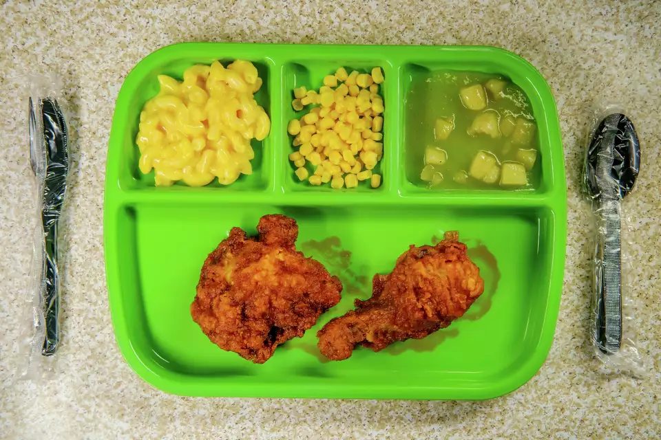 tray with school lunch